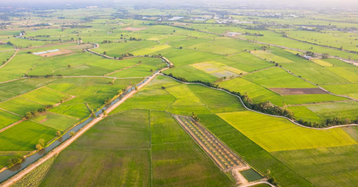 Tribeca estates Plots Mumbai