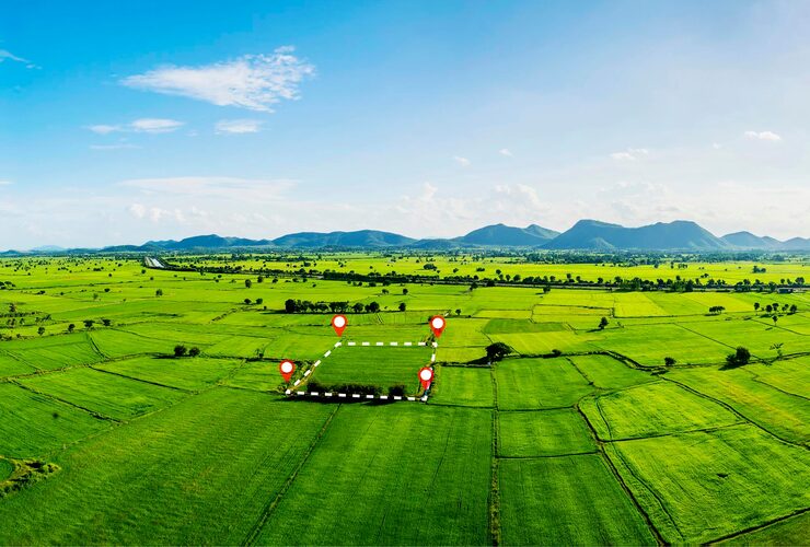 Total Environment Rajanukunte