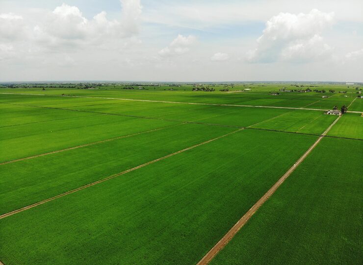 Total Environment Rajanukunte